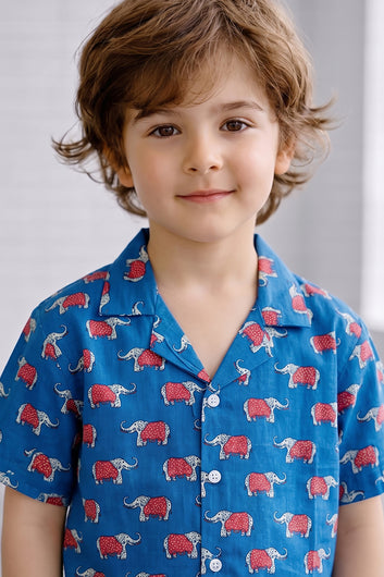 Boys Blue Cotton Blend Animal Printed Shirt and Shorts Set For Apparel Combo
