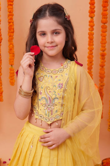 Baby Bead Embroidered Lehenga Choli Set for Kids Beautiful Traditional Indian Ethnic Wear