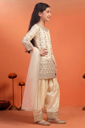 Girls Chikoo Silk Blend Embroidered Kurta Salwar with Dupatta Traditional Outfit