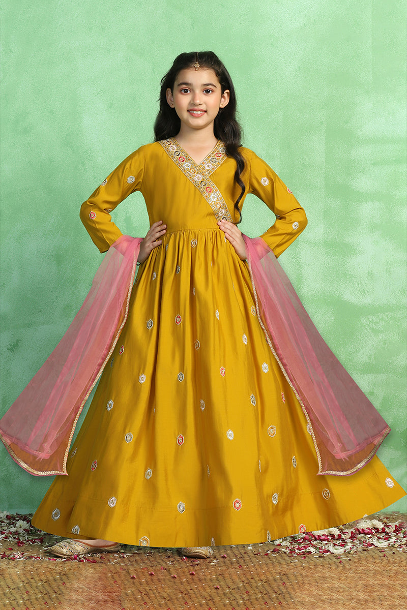 Ethnic Dresses/Gown