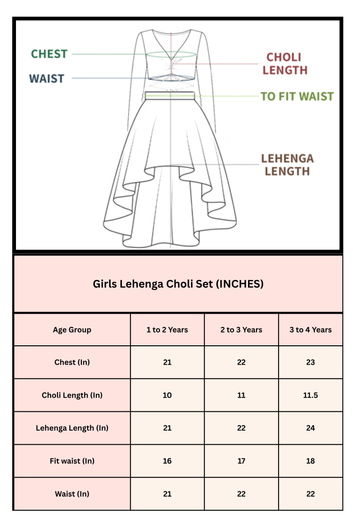 Baby Bead Embroidered Lehenga Choli Set for Kids Beautiful Traditional Indian Ethnic Wear